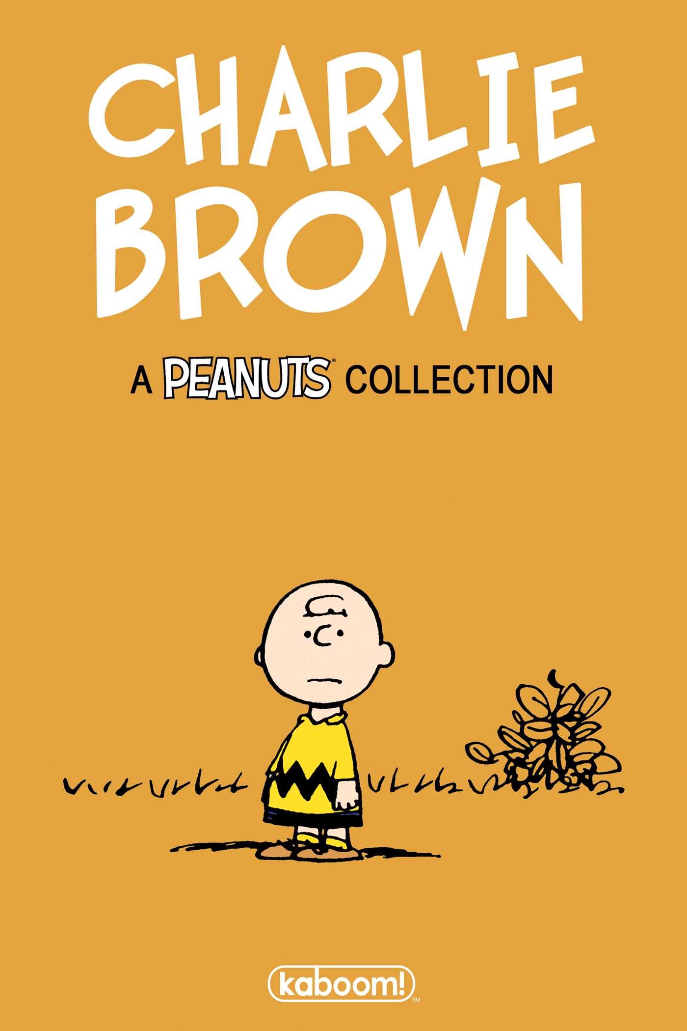 Charlie Brown cover The AAUGH Blog