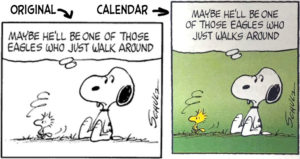 Original and calendar versions of the January 16, 1971 closing Peanuts panel